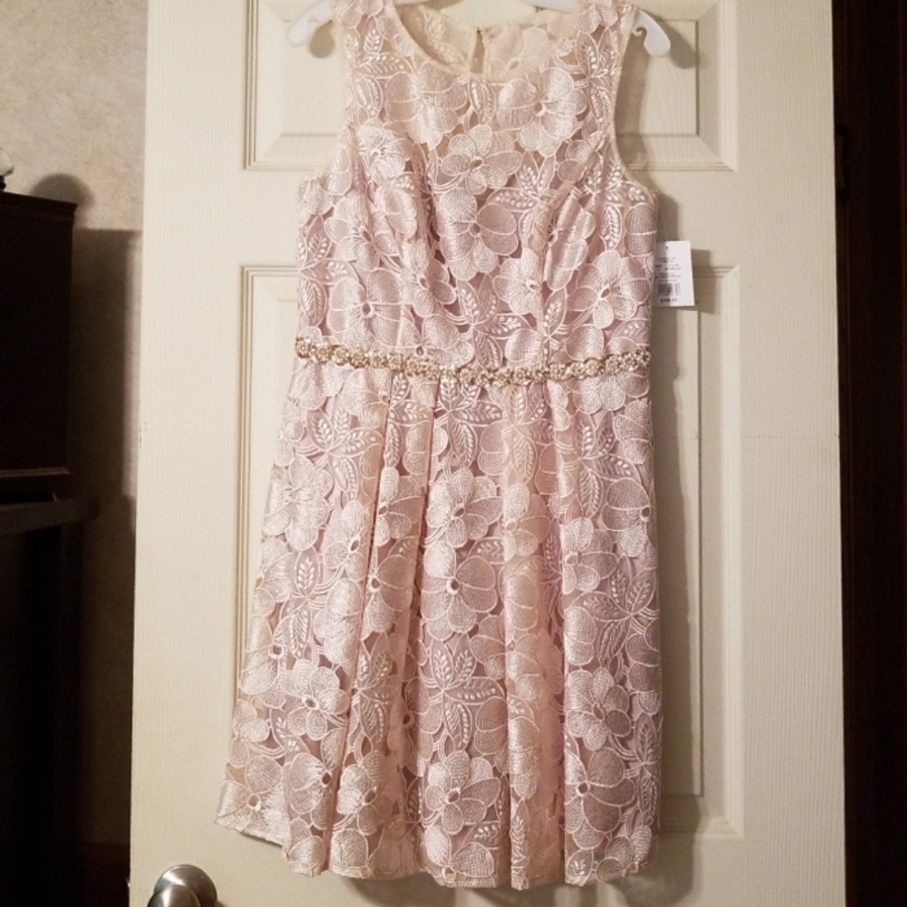 David's Bridal dress